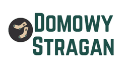Logo sklepu Domowystragan.pl