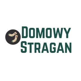 Domowystragan.pl logo